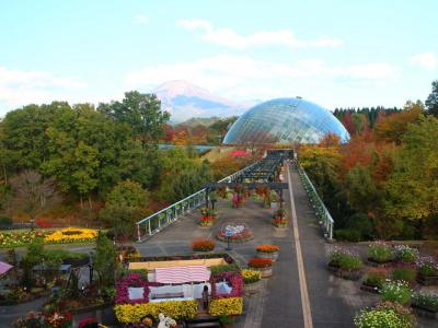 鳥取県旅行のおすすめ観光スポット人気投票・ランキング　－位　とっとり花回廊の画像