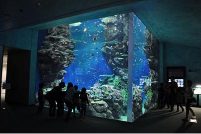 島根県旅行のおすすめ観光スポット人気投票 - ランキング　－位　島根県立しまね海洋館 アクアスの画像