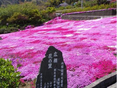 徳島県旅行のおすすめ観光スポット人気投票・ランキング　－位　広棚花の里の画像