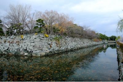 徳島県旅行のおすすめ観光スポット人気投票 - ランキング　－位　徳島城跡の画像