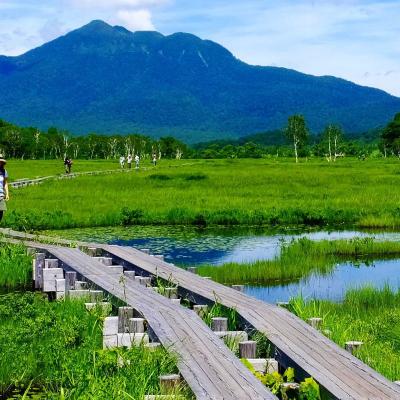 群馬県旅行のおすすめ観光スポット人気投票 - ランキング　－位　尾瀬国立公園の画像