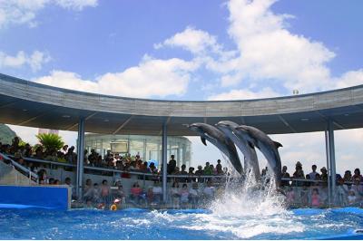大分県旅行のおすすめ観光スポット人気投票 - ランキング　－位　大分マリーンパレス水族館「うみたまご」の画像