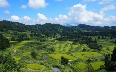 新潟県旅行のおすすめ観光スポット人気投票・ランキング　－位　星峠の棚田の画像