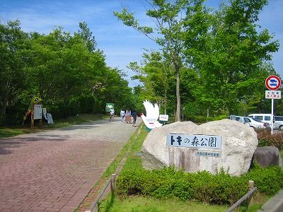 新潟県旅行のおすすめ観光スポット人気投票・ランキング　－位　トキの森公園の画像