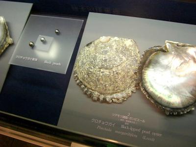三重県旅行のおすすめ観光スポット人気投票 - ランキング　－位　真珠博物館の画像