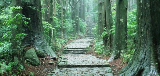 三重県旅行のおすすめ観光スポット人気投票 - ランキング　－位　熊野古道の画像
