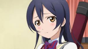 同じ声優キャラランキング・人気投票　9位　園田海未とキュアアースの画像
