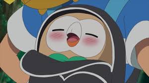 くさタイプポケモンランキング・人気投票　17位　モクローの画像