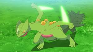 くさタイプポケモンランキング・人気投票　24位　ジュカインの画像