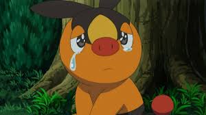 ほのおタイプポケモンランキング・人気投票　17位　ポカブの画像