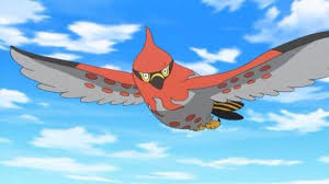 ほのおタイプポケモンランキング・人気投票　26位　ファイアローの画像