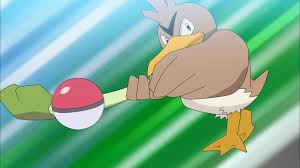 ひこうタイプポケモンランキング・人気投票 5位 カモネギの画像