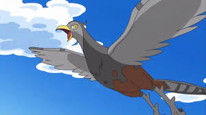 ひこうタイプポケモンランキング・人気投票 26位 ケンホロウの画像