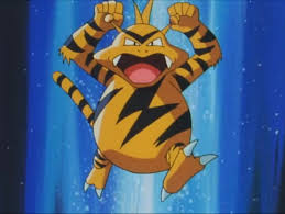 でんきタイプポケモンランキング・人気投票 9位 エレブーの画像