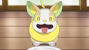 でんきタイプポケモンランキング・人気投票 16位 ワンパチの画像