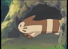 ノーマルタイプポケモンランキング・人気投票 8位 オオタチの画像