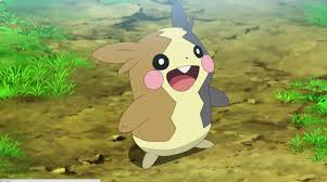 あくタイプポケモンランキング・人気投票　14位　モルペコの画像