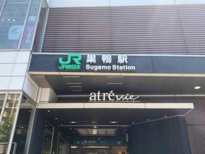 第2回 JR東日本駅ランキング・人気投票 47位 巣鴨駅の画像