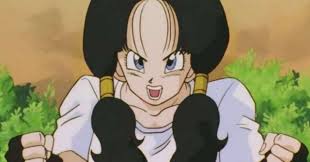 皆口裕子さんキャラランキング・人気投票　3位　ビーデルの画像