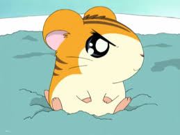 宮田幸季さんキャラランキング・人気投票　1位　トラハムくんの画像