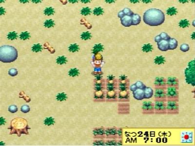 初代DSで一番面白かったゲームを決めるランキング・人気投票　40位　牧場物語 コロボックルステーションの画像