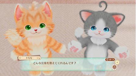 ニンテンドー3DS人気ゲーム投票 - ランキング　75位　ネコ・トモの画像