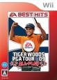 最高のタイガー・ウッズ PGA TOUR（EA SPORTS）はこれだ！シリーズゲーム作品人気ランキング・人気投票　9位　タイガー PGA 09 ALL-PLAYの画像