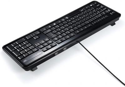 オススメのUSBポート付きキーボード【USBハブ付キーボード】 - 人気投票ランキング　－位　サンワサプライ SKB-SL21UHBKの画像