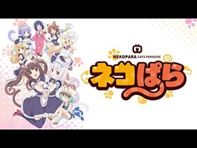 ネコぱら 人気キャラクター投票・ランキングの画像