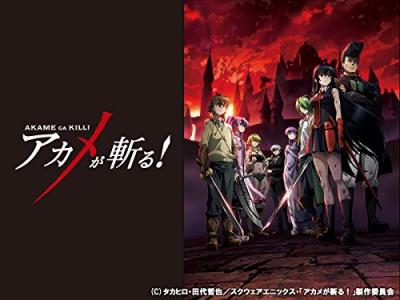 第2回 アカメが斬る！ 人気キャラクター投票